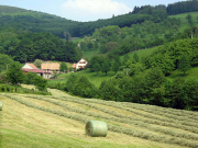 ferme et andains.jpg