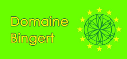Logo bingert.jpg