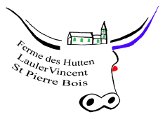 logo Vincent lauler.jpg