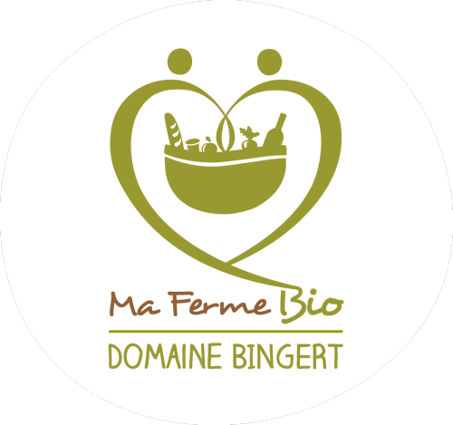 logo mfb bingert.png