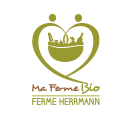 logo MFB Herrmann.png